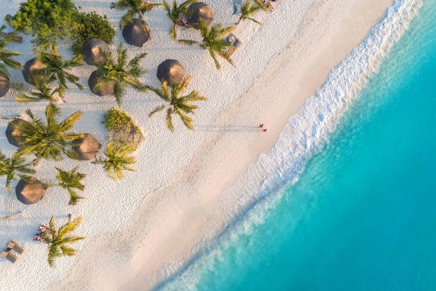 Palm-shaded sand from above