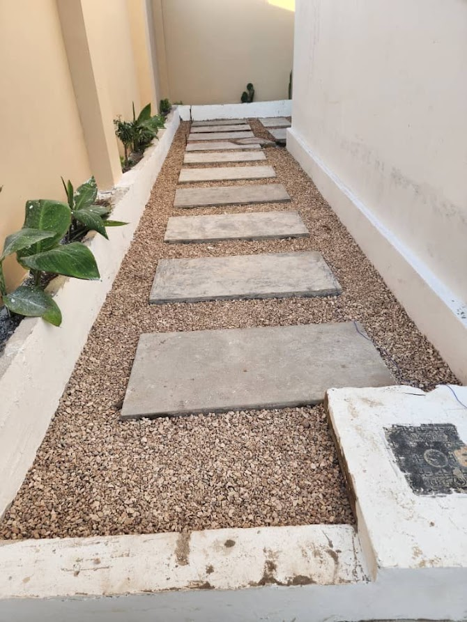 Stone pathway through the garden